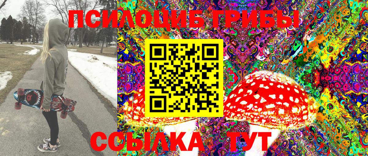 Галлюциногенные грибы мухоморы Калининград