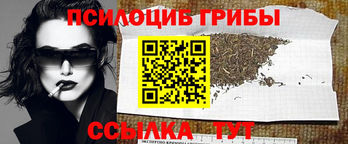 Галлюциногенные грибы Psilocybe  Вход с VPN  Калининград 